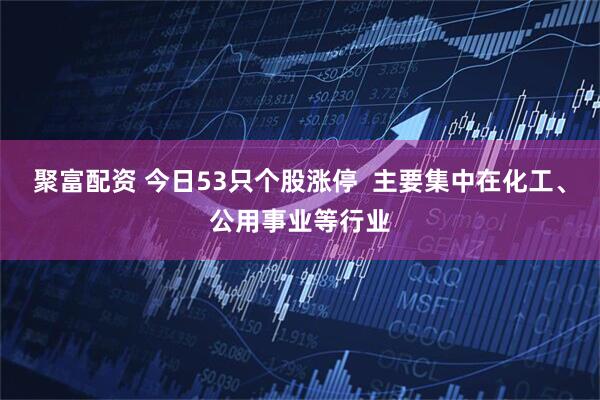 聚富配资 今日53只个股涨停  主要集中在化工、公用事业等行业