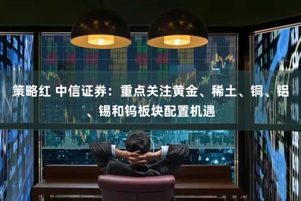 策略红 中信证券：重点关注黄金、稀土、铜、铝、锡和钨板块配置机遇